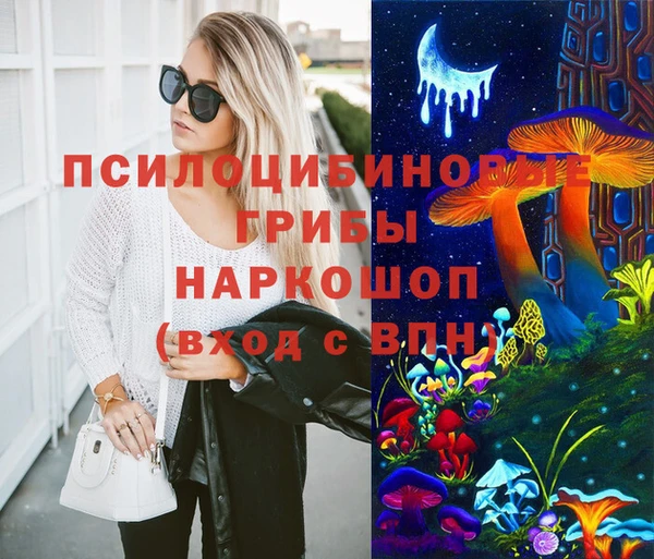 гашик Абинск
