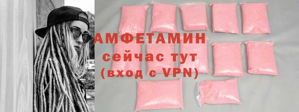 шишки Абаза