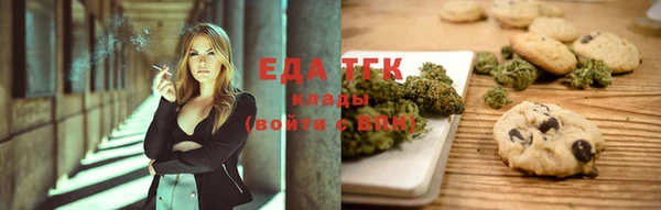 шишки Абаза