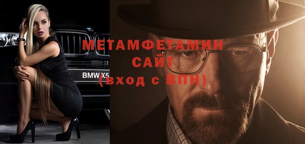 шишки Абаза