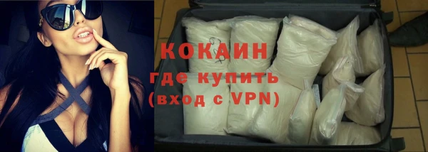 шишки Абаза