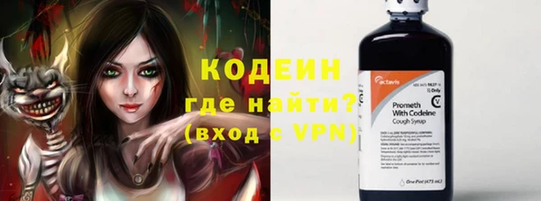 шишки Абаза