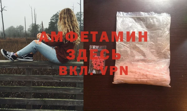 шишки Абаза