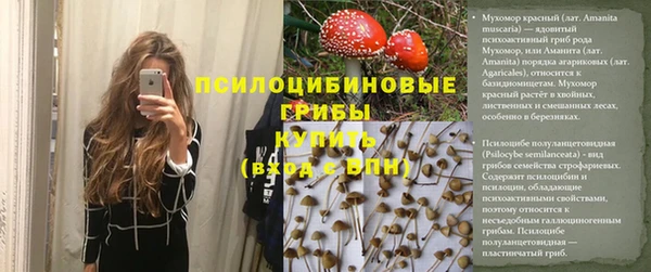 гашик Абинск