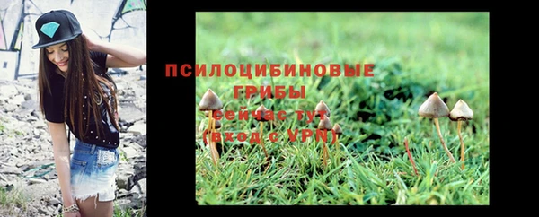 гашик Абинск